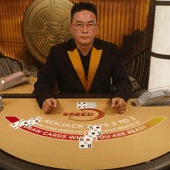 한국어 스피드 블랙잭 K screenshot
